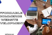 Affordable eCommerce Website Development