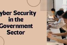 Cyber Security in the Government Sector