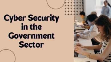 Cyber Security in the Government Sector