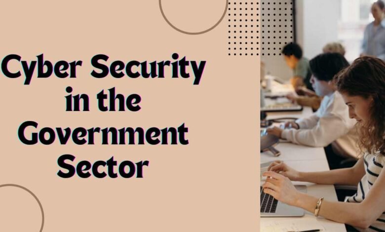 Cyber Security in the Government Sector