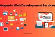 Magento Web Development Services